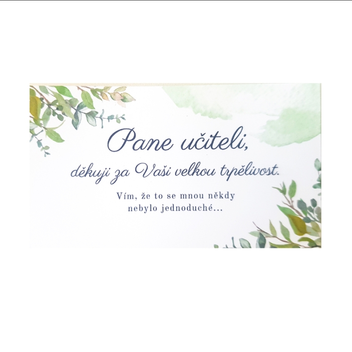 Děkovací kartička - Děkuji za trpělivost, pane učiteli